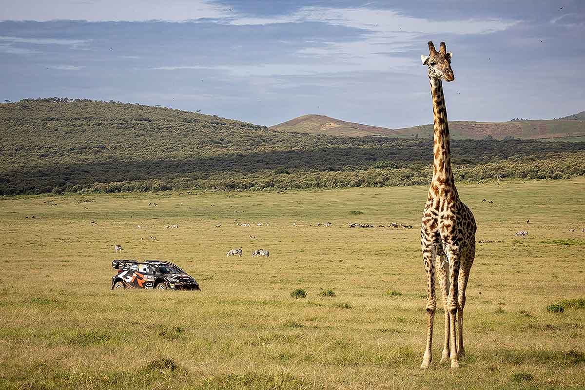 Safari-Rallye: Doppelsieg für Toyota – Neuville baut WM-Führung aus