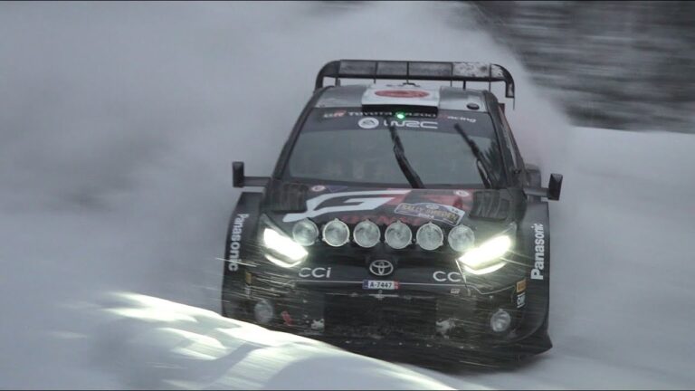 VIDEO: Rallye Schweden flat out