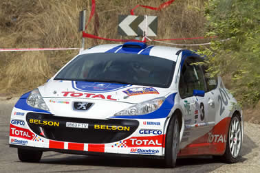 Ojeda sichert Peugeot den Titel
