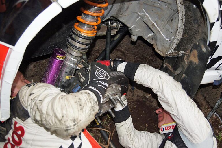 Die Bilder der Azoren-Rallye