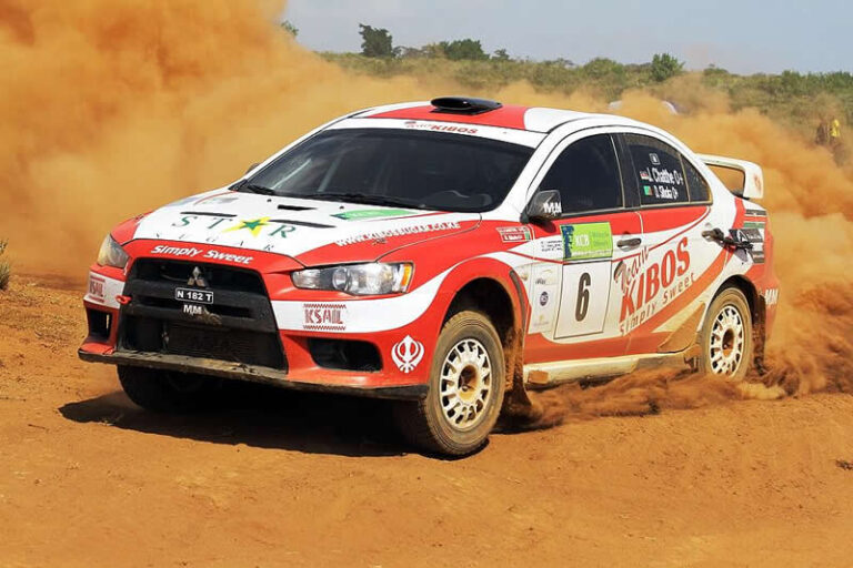 Kenianer Chatthe mit zwei Titeln