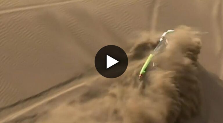 VIDEO: Dakar 2015 – Tag 9