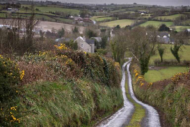 Der Tanz auf schmalen Wegen