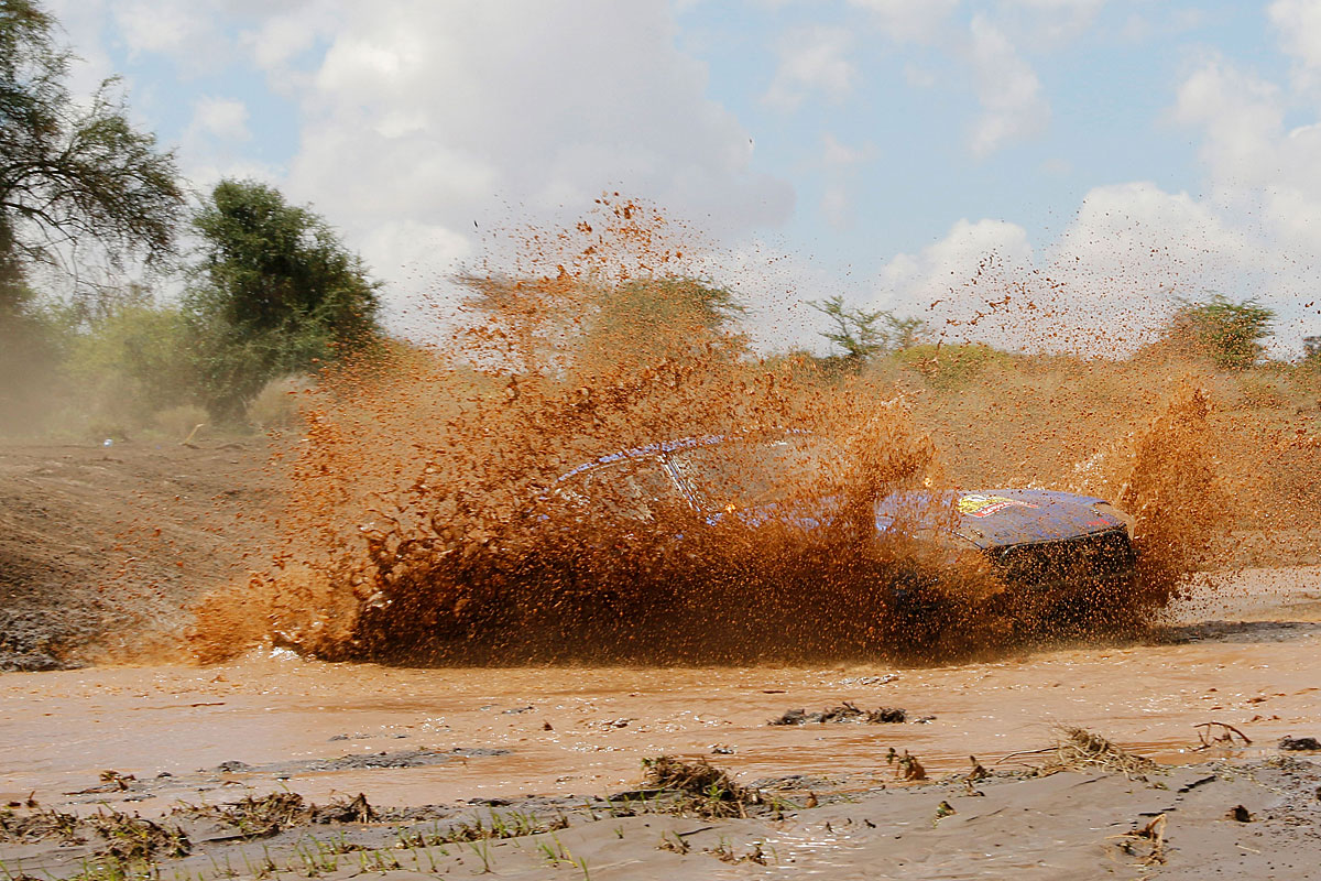 Volles Safari-Programm im Kurzformat