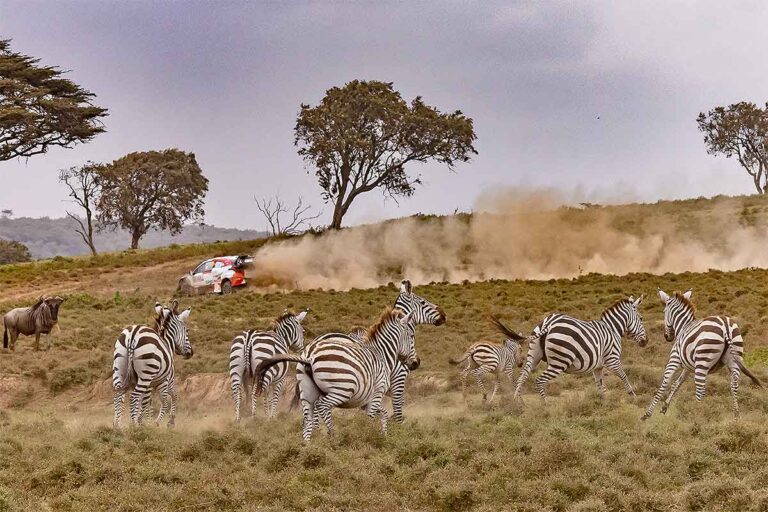 Rovanperä gewinnt Safari-Rallye