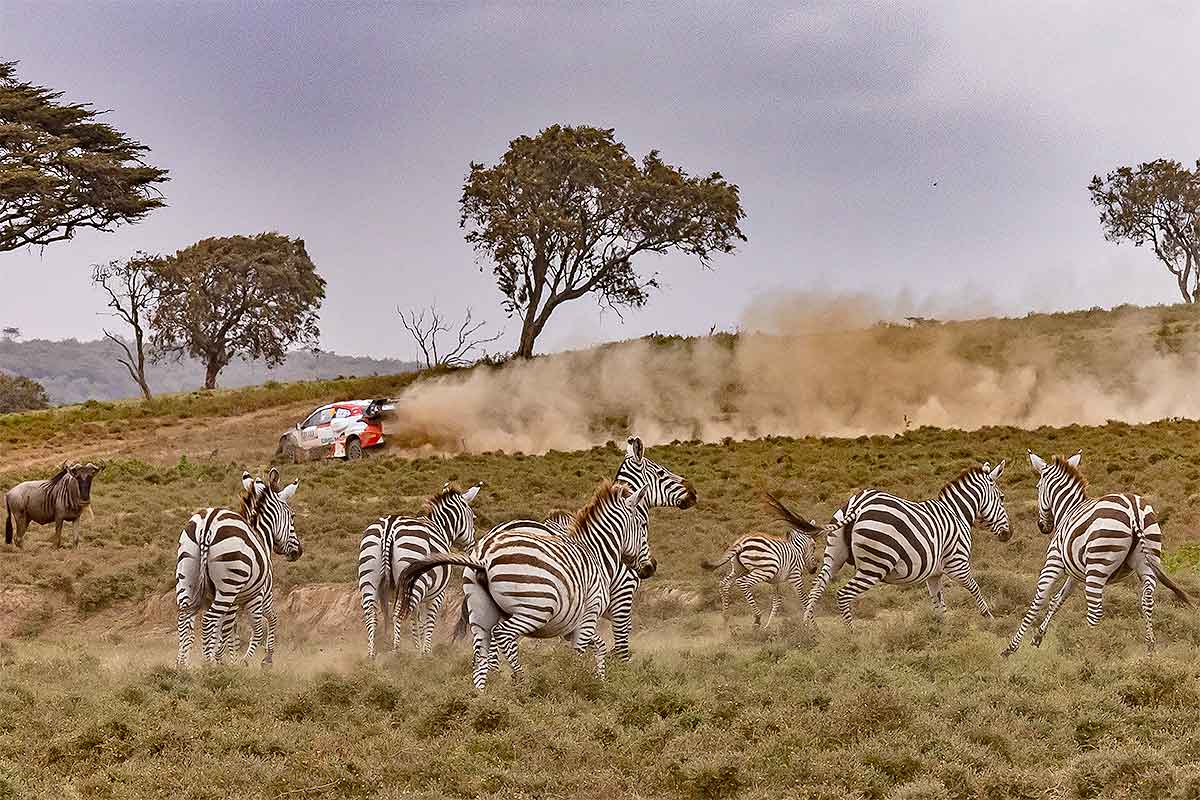Rovanperä gewinnt Safari-Rallye