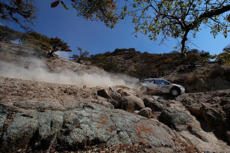 Rallye Argentinien mit 14 WRC