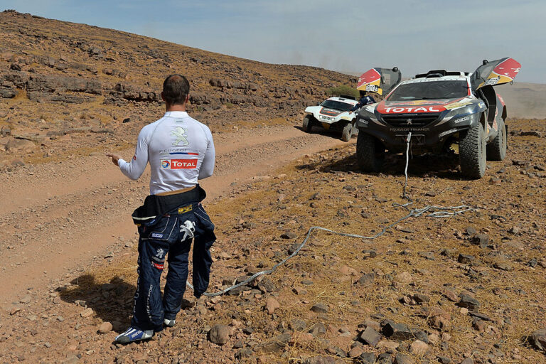 Loebs erste Lektion in der Wüste