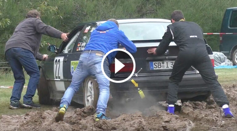 VIDEO: Buchfinken-Rallye