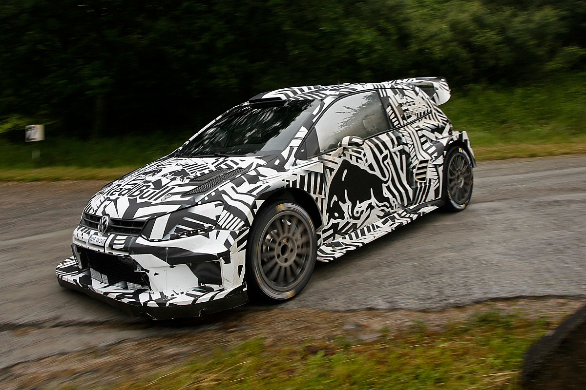 Depping testet Zebra-Polo auf Baumholder