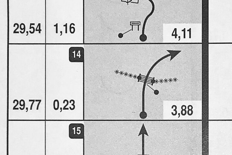 Abgekürzt: Strafen für Meeke und Tänak