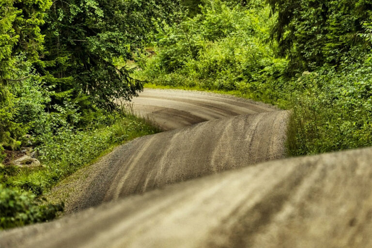 Rallye Finnland: Eine wie keine