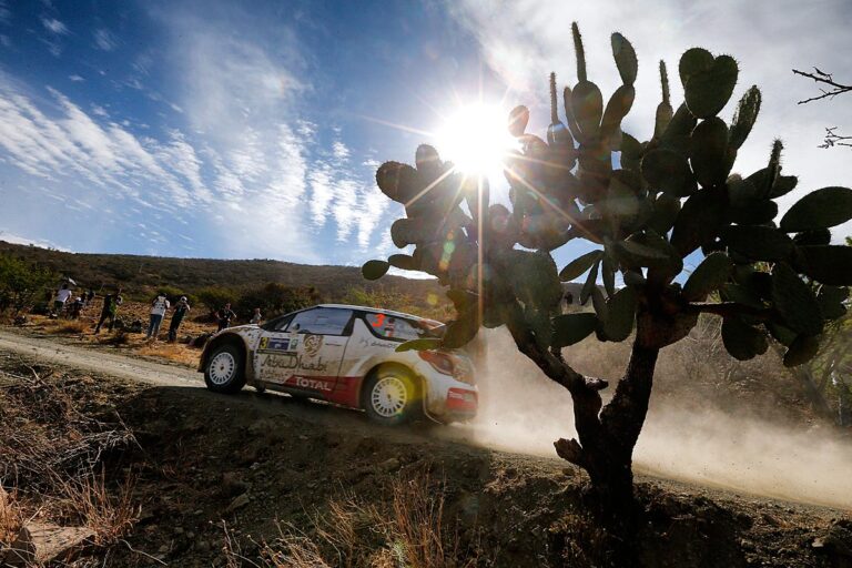 Ogier vorn – Rest wie gehabt