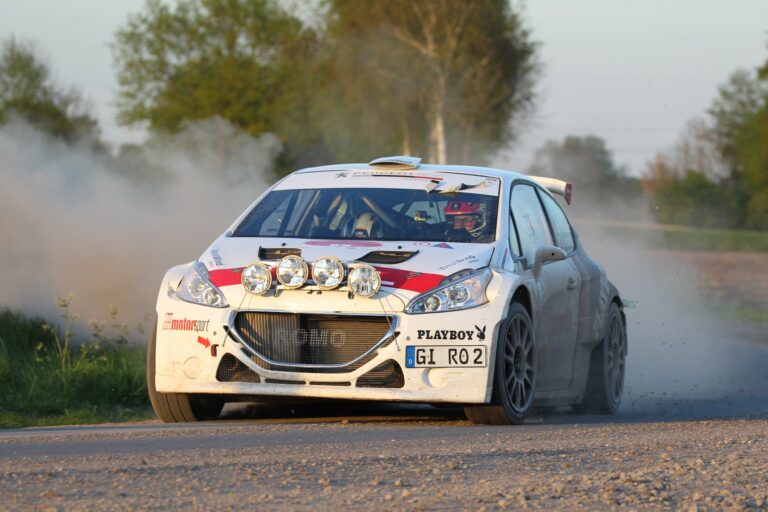 Am Wochenende: Bären, Löwen und Weinreben