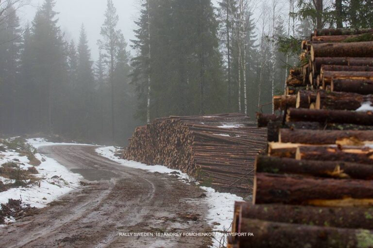 Schweden: FIA hält an Durchführung fest