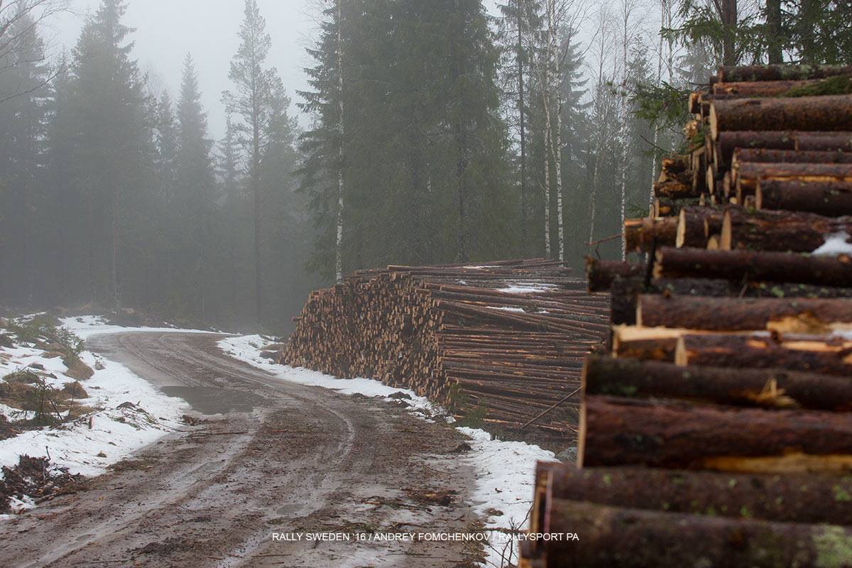 Schweden: FIA hält an Durchführung fest