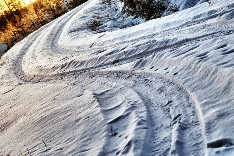 Rallye Schweden: Diskussionen um Shakedown