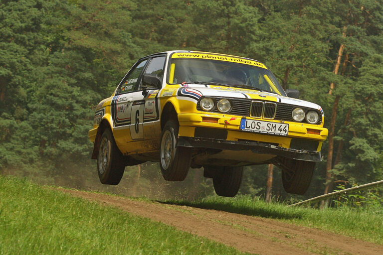 Wilder Berg und tiefer Wald