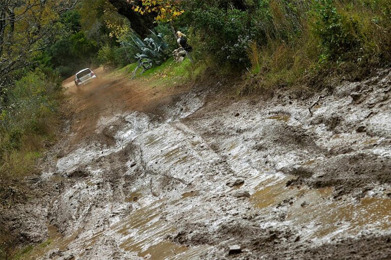 Argentinien: Der weiße Fleck auf der Ogier-Weste