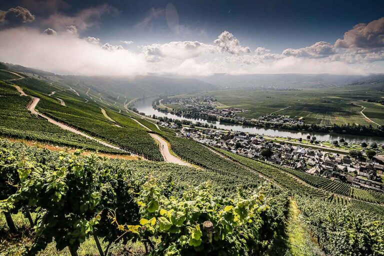 Rallye-WM 2023 ohne Deutschland