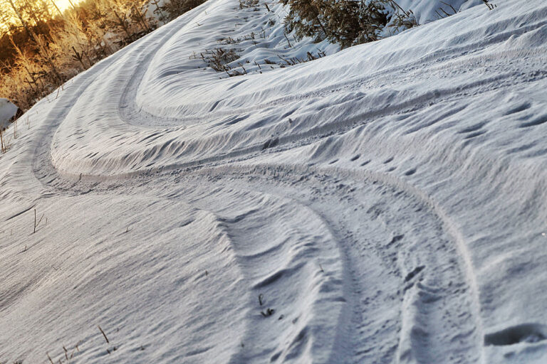 FIA will WM-Lauf in Nordamerika und China