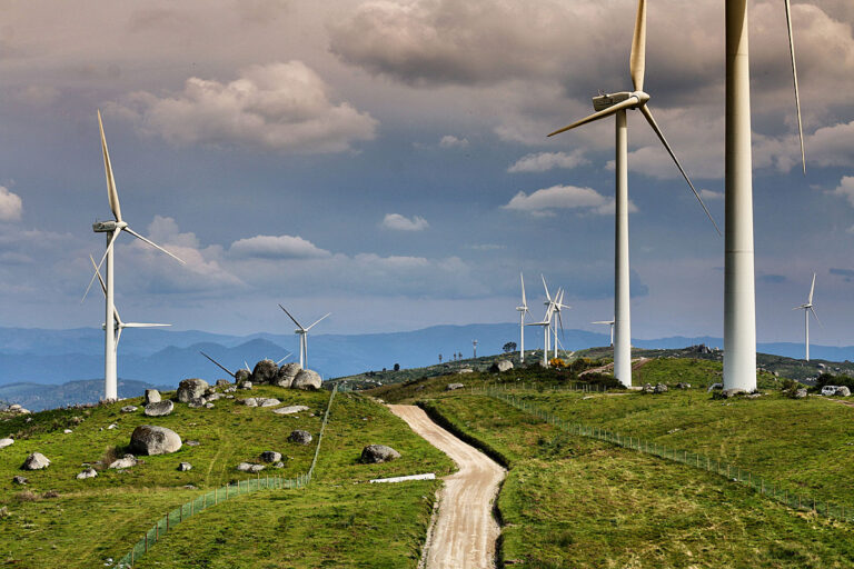 Rallye Portugal: Die Ruhe vor dem Sturm