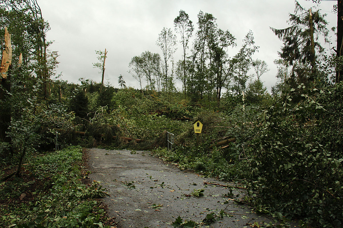 Unwetterfolgen betreffen auch Rallye Erzgebirge