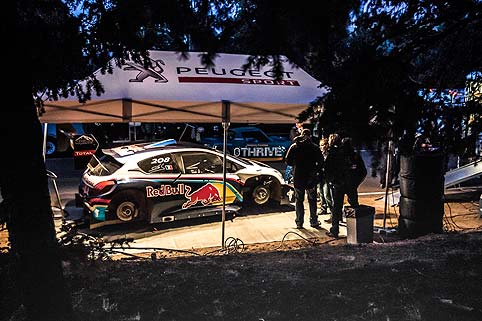 Loeb allein auf weiter Flur