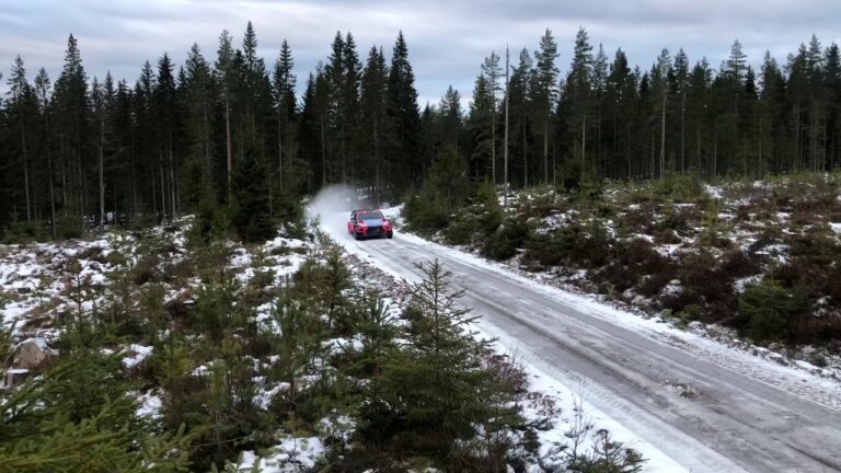 VIDEO: Ott Tänak und Thierry Neuville Test