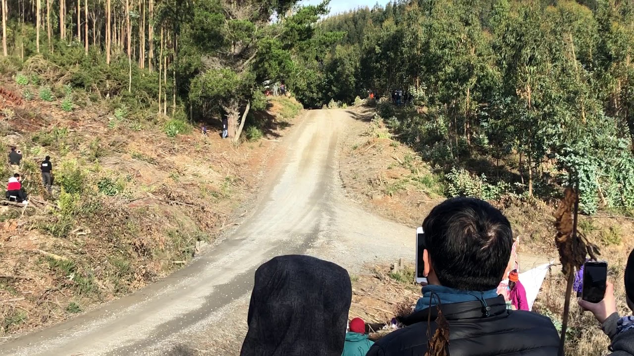 VIDEO: Unfall Thierry Neuville