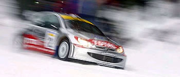 Kein Schnee bei Jänner Rallye…
