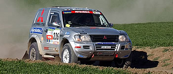 Andrea Mayer will Diesel-Sieg