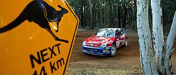 SS10: Loeb vorn, Solberg lauert