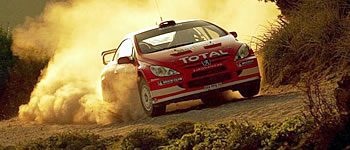 Loix nie mehr im 307 WRC?