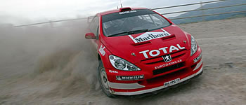 Märtin: „Schaut auf Harri…“