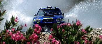 Petter Solberg wieder fit