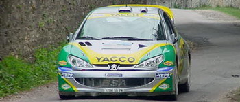 Peugeot in Frankreich obenauf