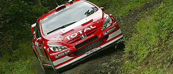 Die Jagd auf Loeb beginnt