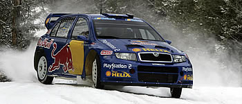 Red-Bull holt sich Panizzi und Eki