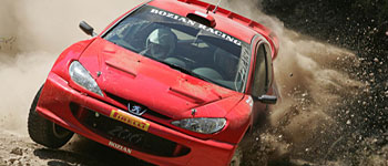 Ligato im Peugeot 206 WRC