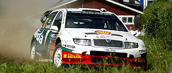 Skoda überdenkt WM-Einsatz