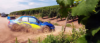 Petter Solberg mit Handicap?