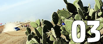 Wer gewinnt Fiesta Mexicana?