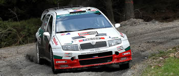 Top-Besetzung in Sosnova