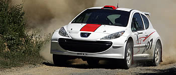 Schottertest für Peugeot 207