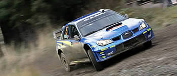 Solberg fordert Bosse heraus