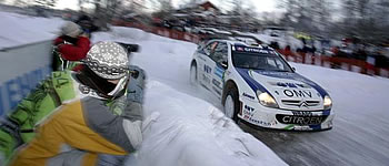 Stohl im Zwiespalt der Gefühle