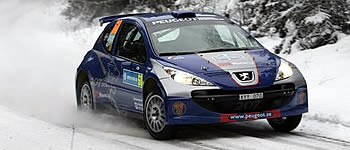 Kurzer Auftritt für Löwenbaby