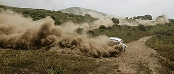 Starkes Feld in Portugal