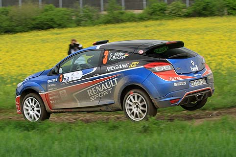 Mohe mit neuem Beifahrer